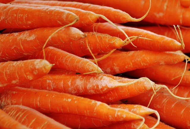 Purée de carottes pour bébé — Première purée de diversification